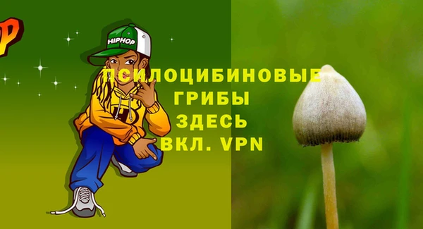 прущие крисы Горнозаводск