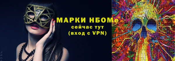 гашик Новодвинск