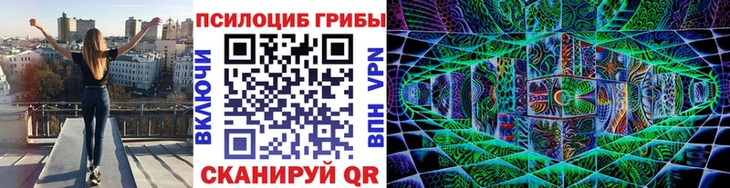 Псилоцибиновые грибы GOLDEN TEACHER Инта